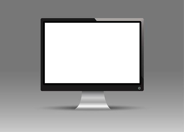 monitor